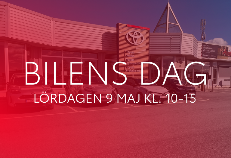Bilens dag