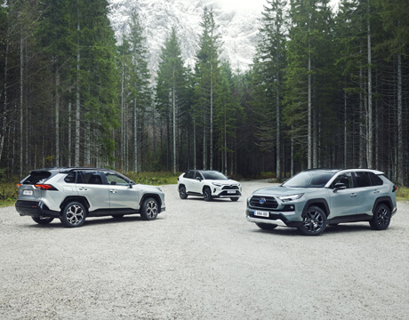 Kampanjpuff RAV4 range