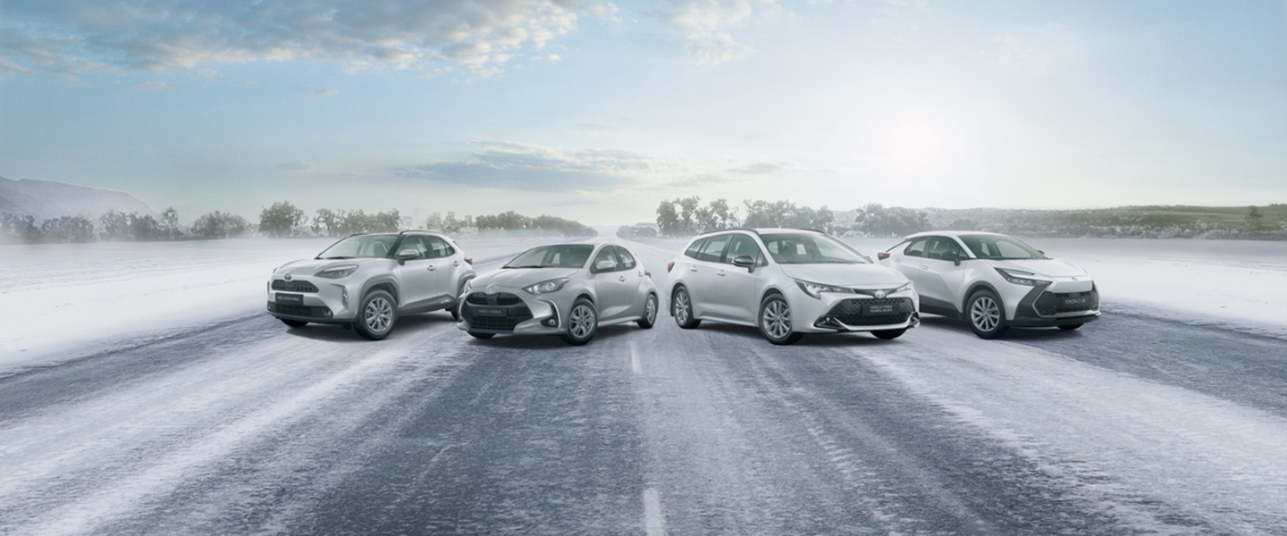 Privatleasingerbjudande vinter