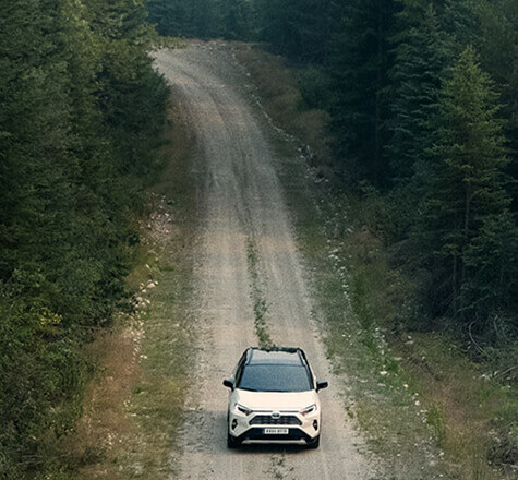 RAV4 på skogsväg