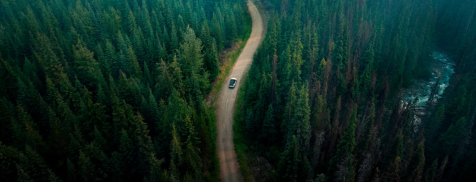 Toyota RAV4 på vägen omgiven av gröna skogar